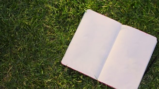 A serene outdoor setting with a notebook and pen.