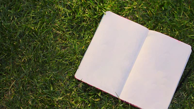 A serene outdoor scene with a notebook and pen resting on a wooden bench, sunlight filtering through leaves.