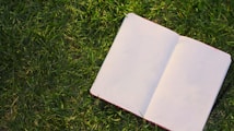 An open blank notebook lies on lush green grass, capturing a serene outdoor setting ideal for writing or sketching.