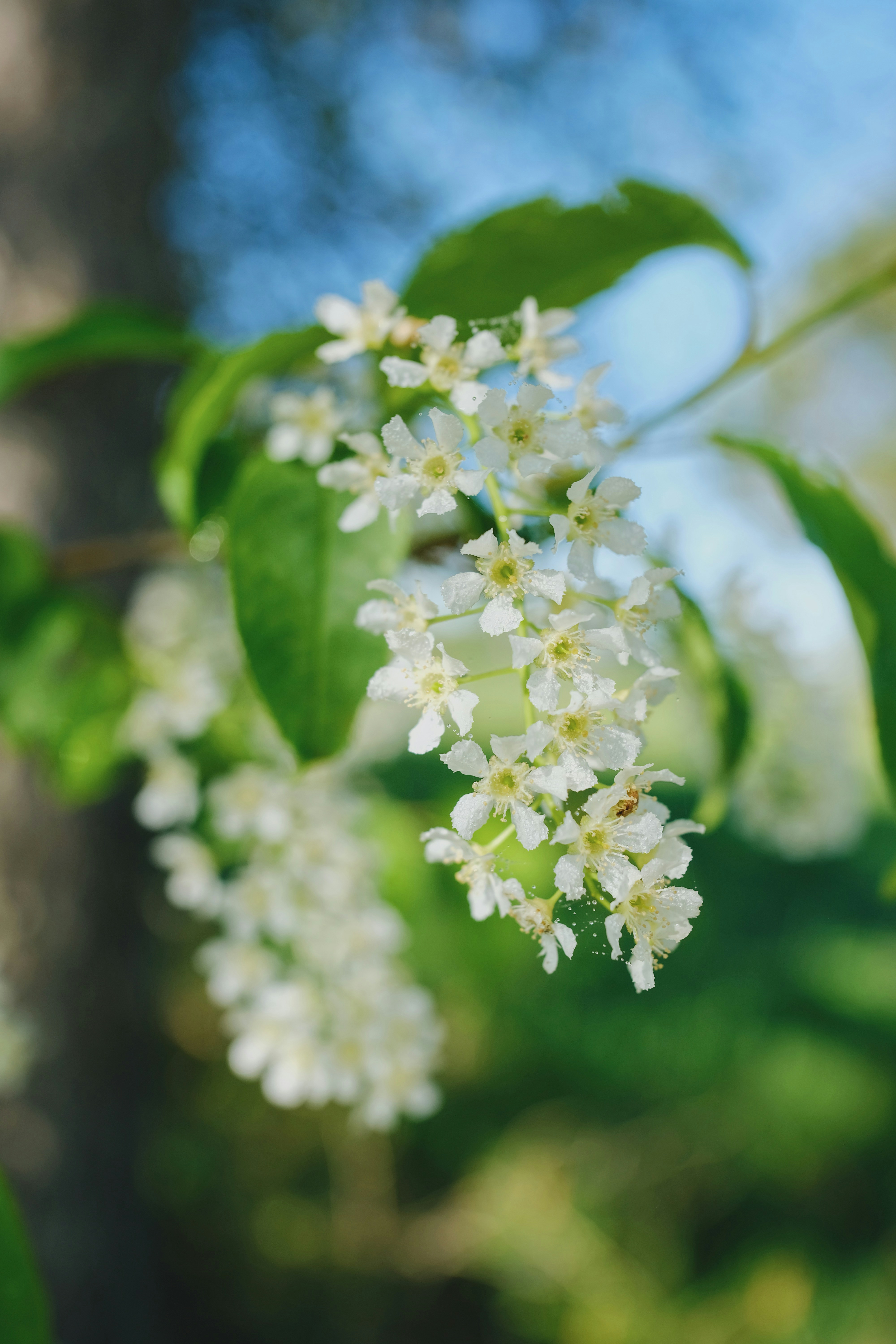 Photo by kadrivmaephotos