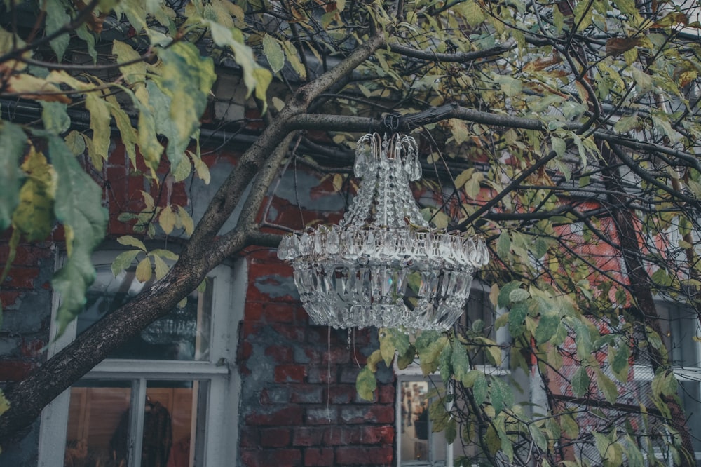 a chandelier hanging from a tree in front of a building