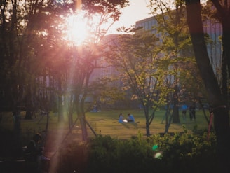 A happy couple enjoying their day-pass brunch outdoors with sunlight filtering through trees.