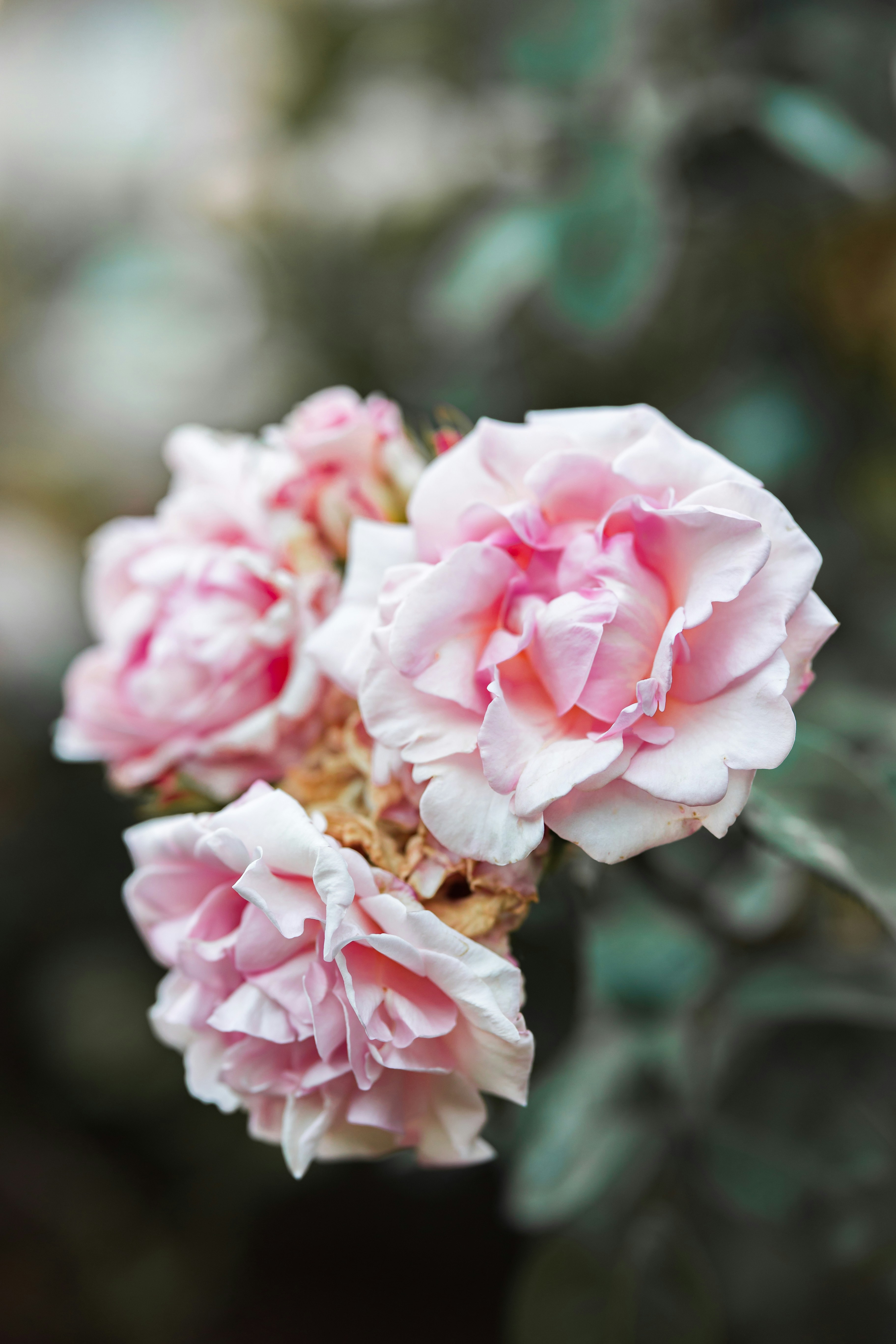 Photo by mohamadalnaimi