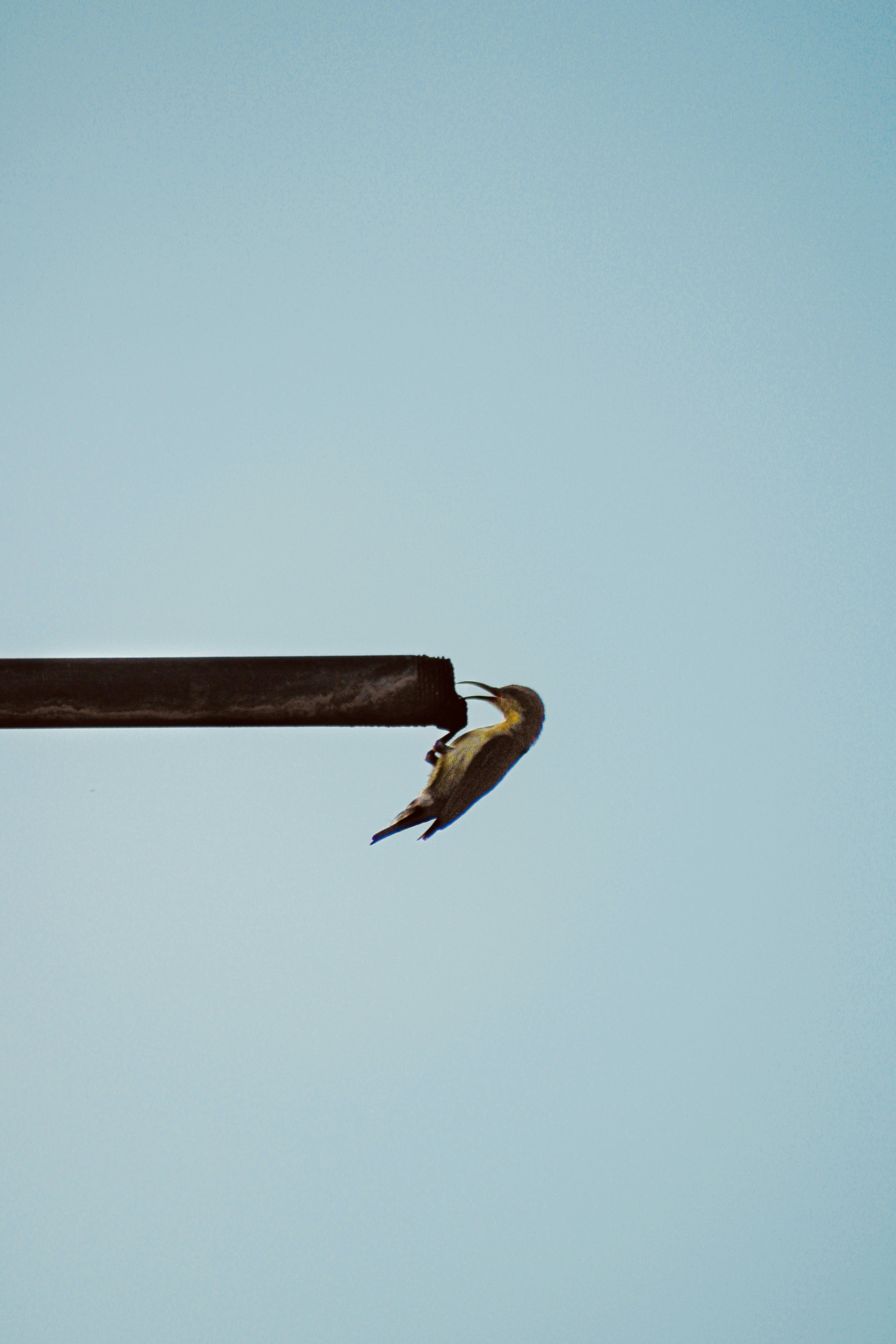 photo-1654102625249-2bebe7edded9?ixid=M3wxMjA3fDB8MXxzZWFyY2h8MTR8fHBlcnNvbmFsJTIwcXVpY2slMjBsb2FucyUyMGZvciUyMGJhZCUyMGNyZWRpdHxlbnwwfHx8fDE3NTU5NjExMDB8MA\u0026ixlib=rb-4.1.0