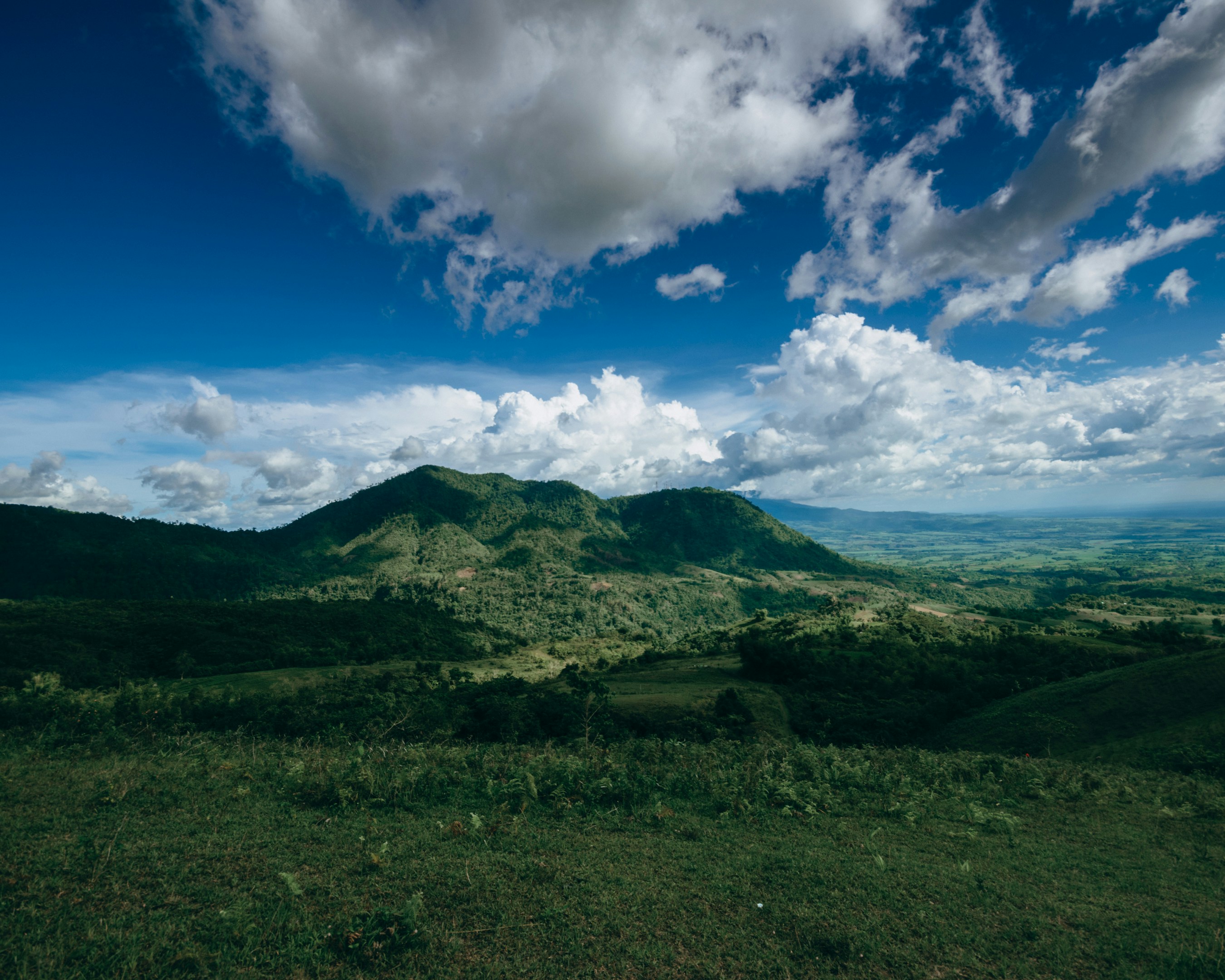 Photo by sbellocillo