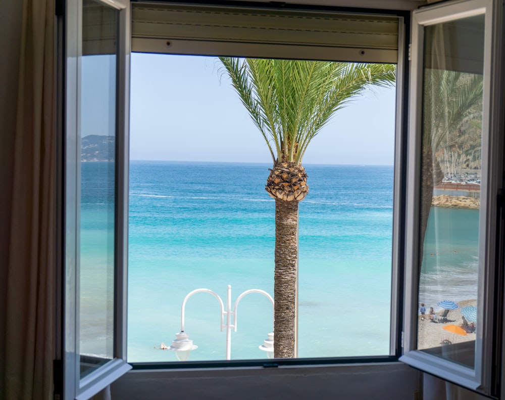 a palm tree is seen through a window