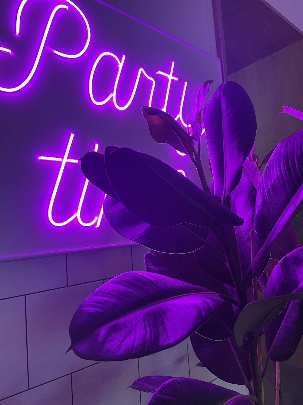 a purple neon sign that says party time