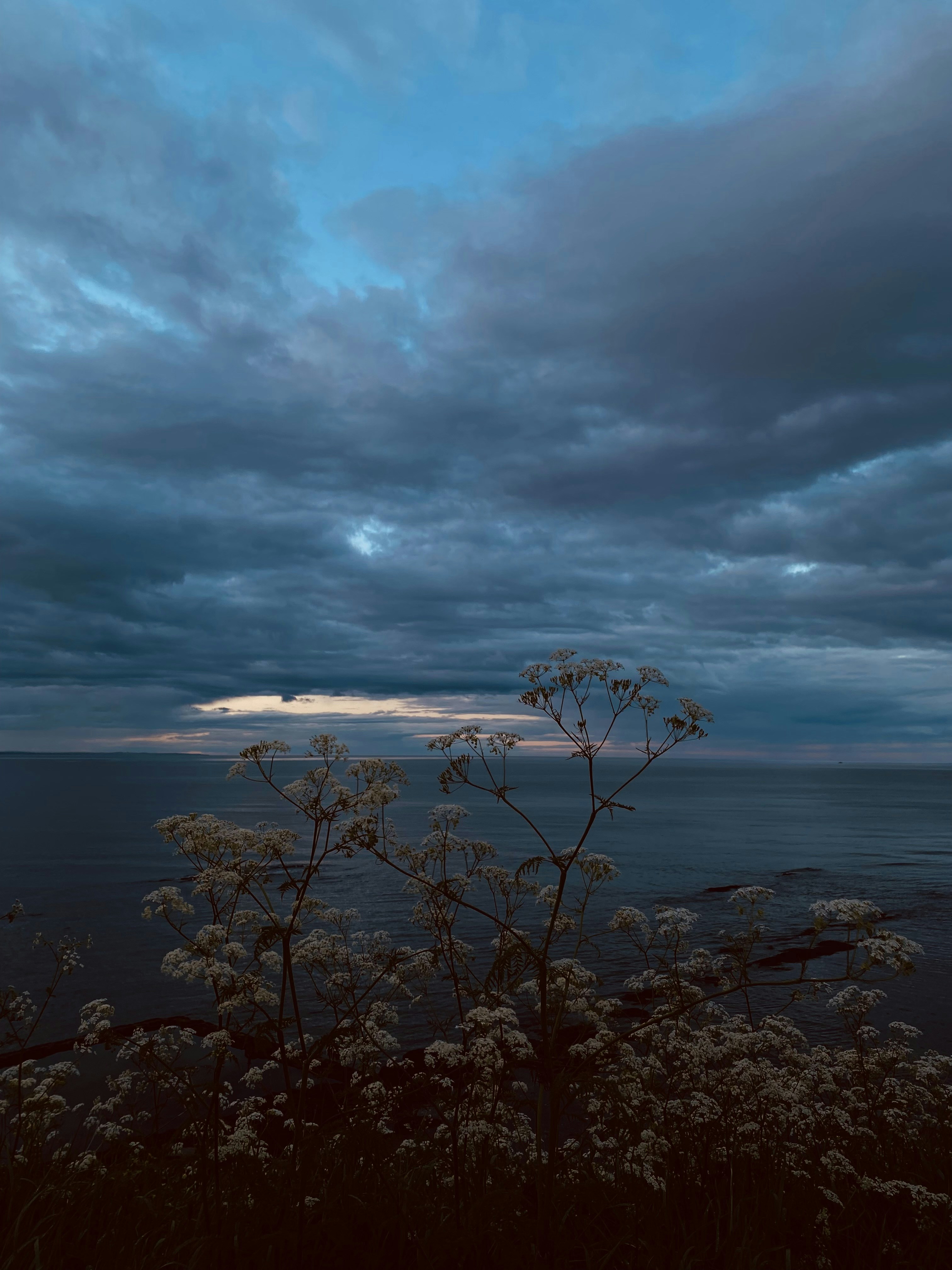 Hiker on rocky coastal trail overlooking ocean, dramatic cliff views, dark moody sky, adventure trekking