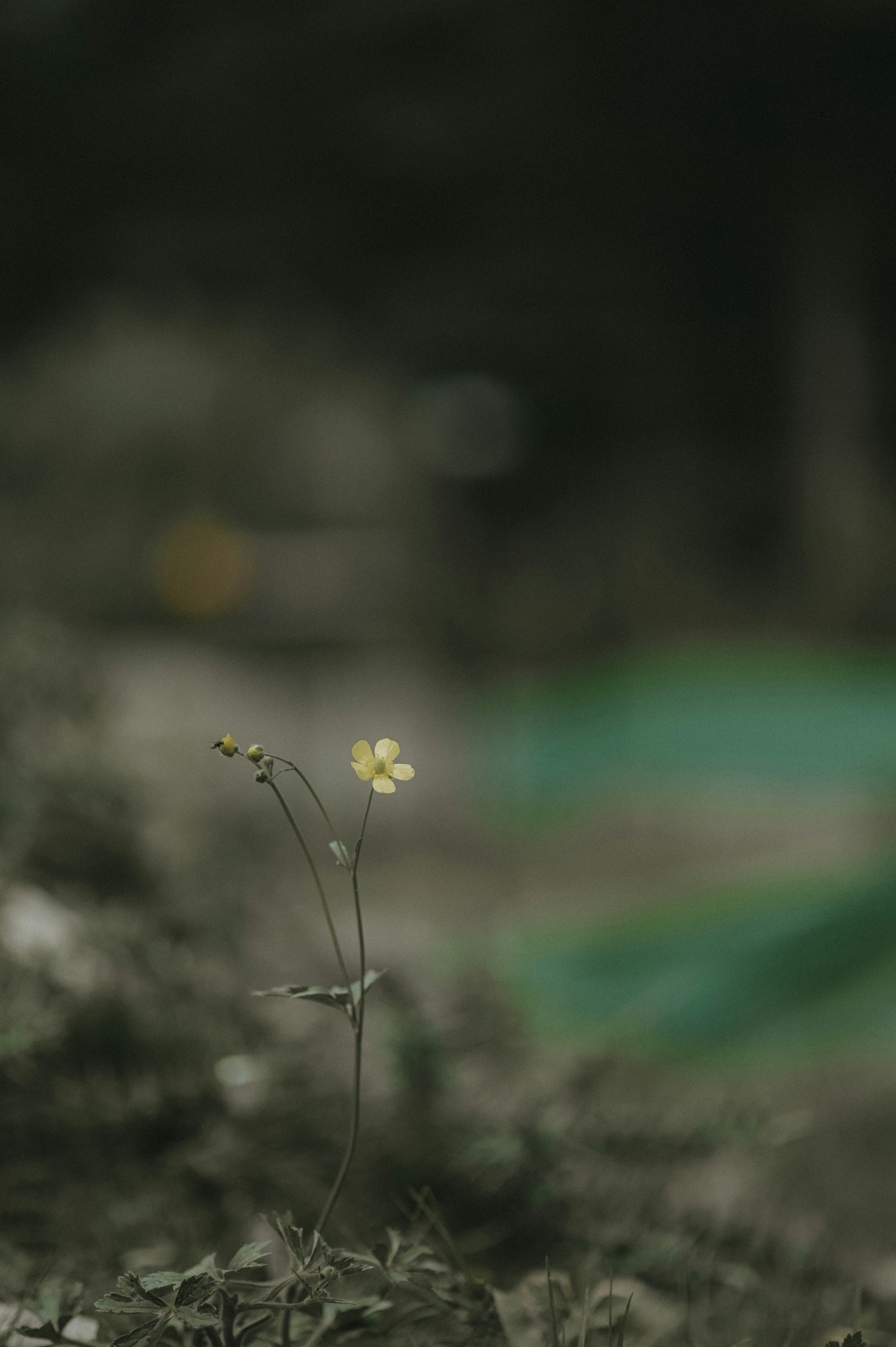Photo by ajinka