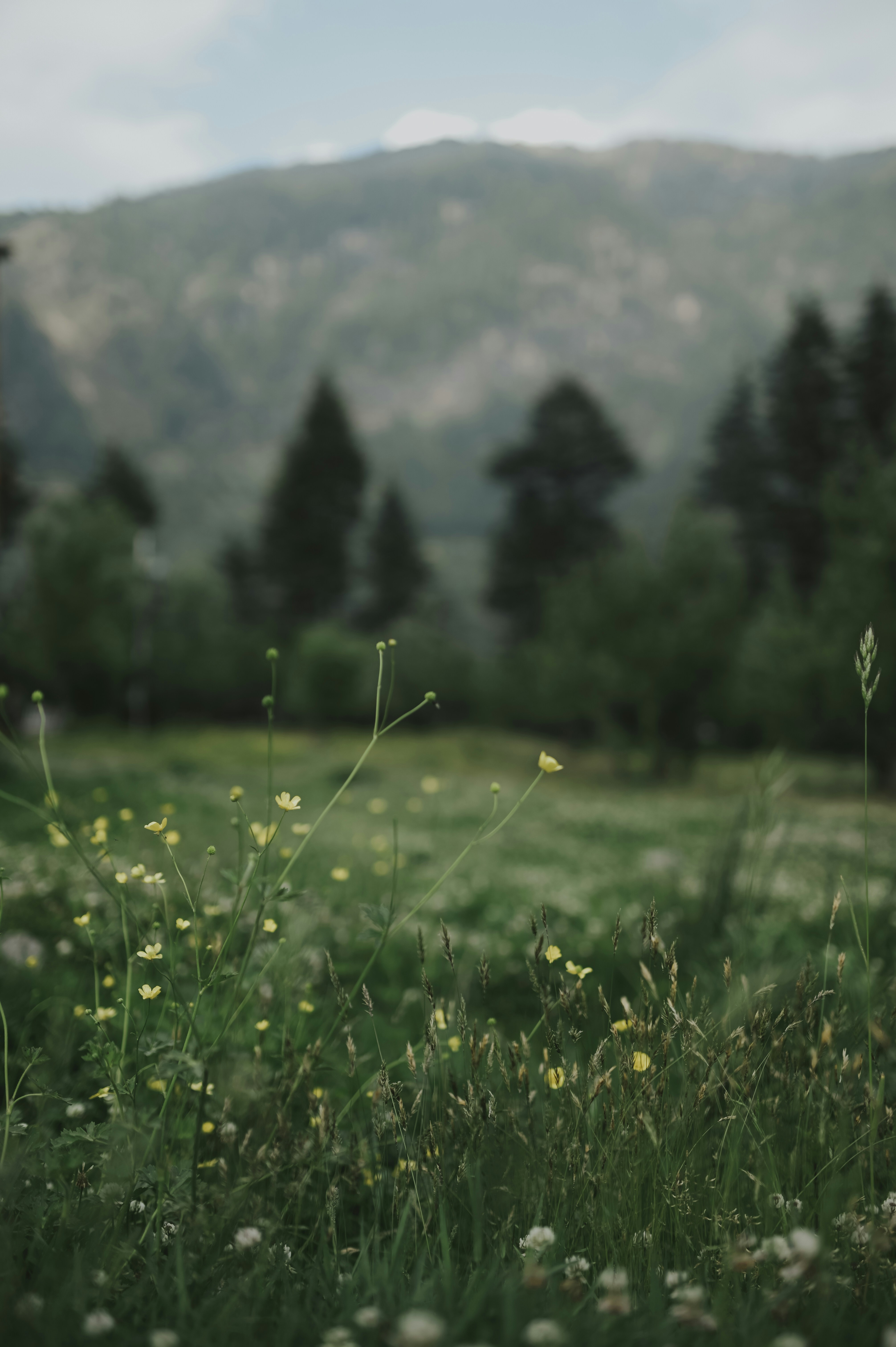 Photo by ajinka