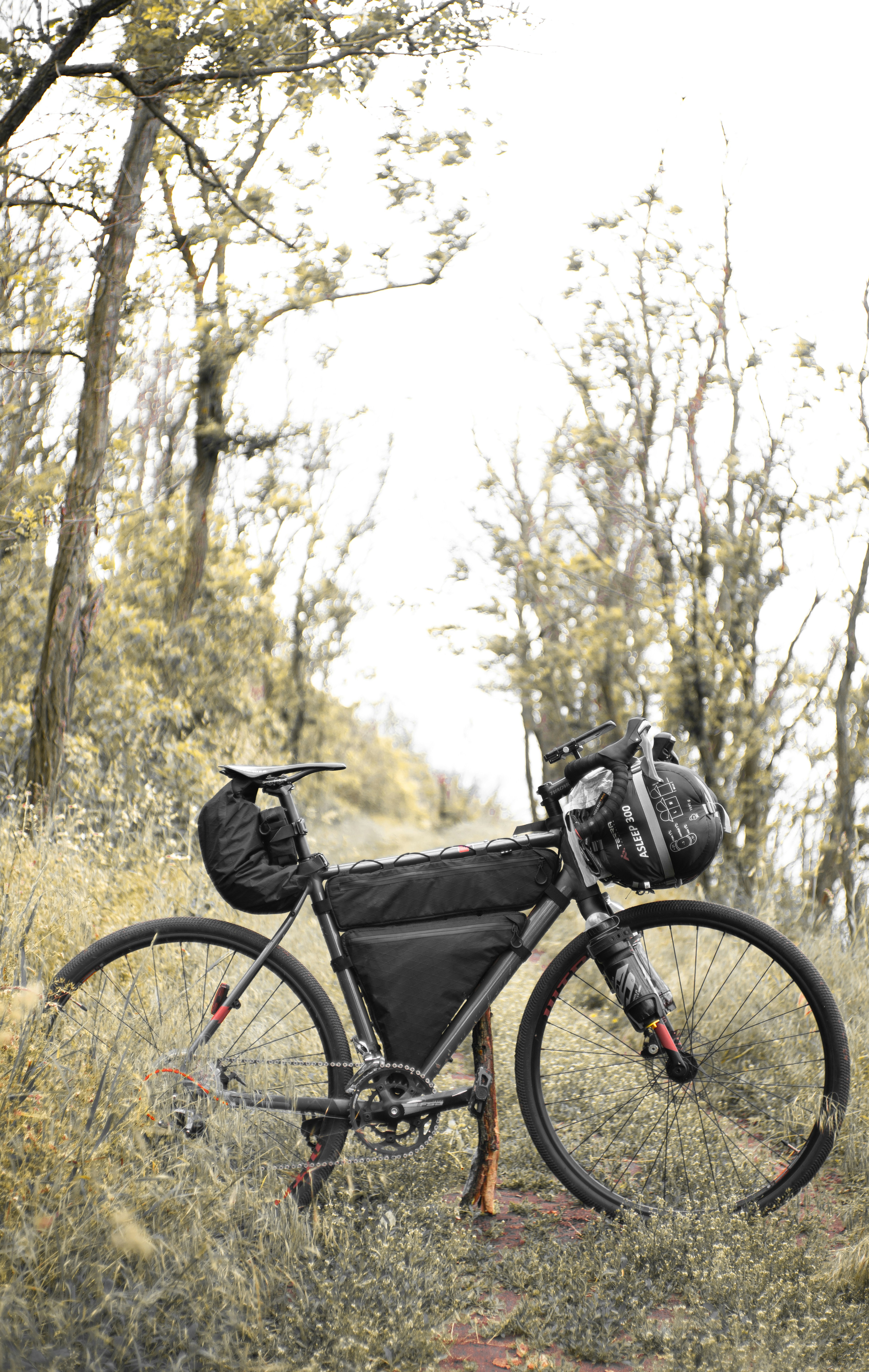 a bicycle parked in a field next to a tree