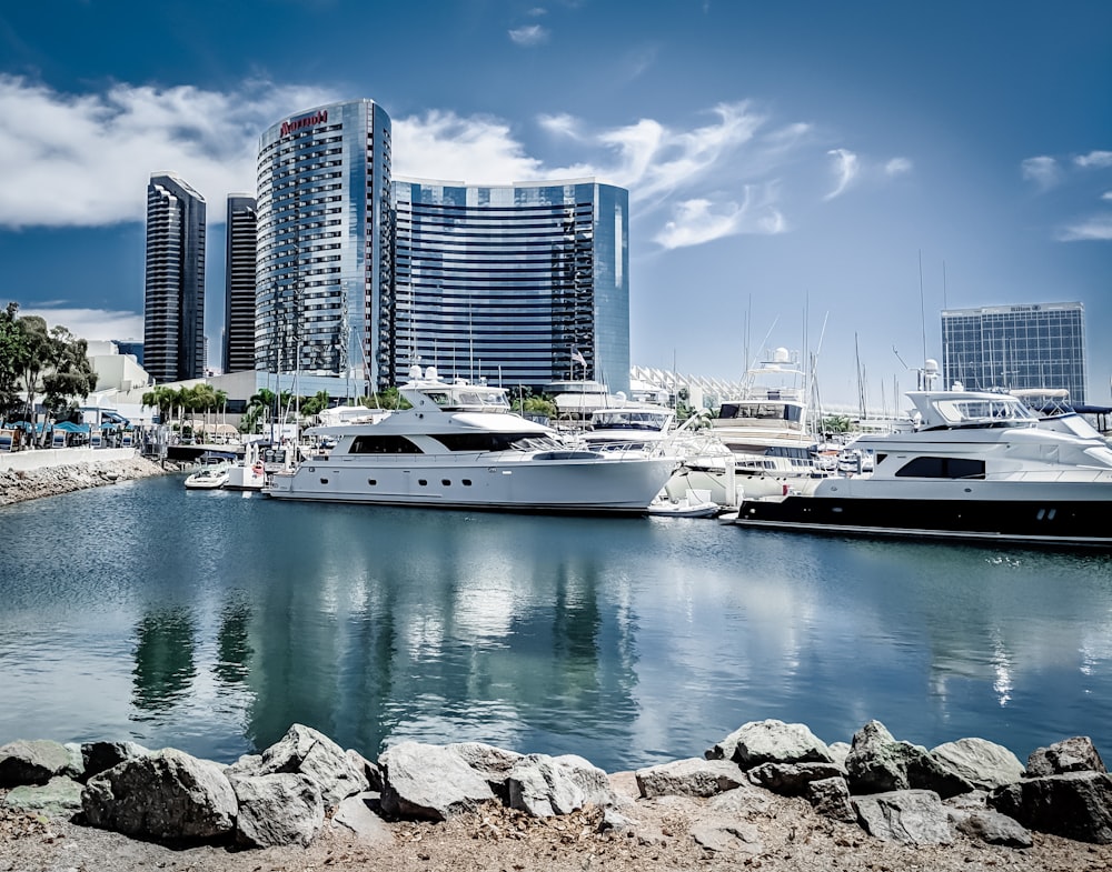 a marina filled with lots of boats next to tall buildings