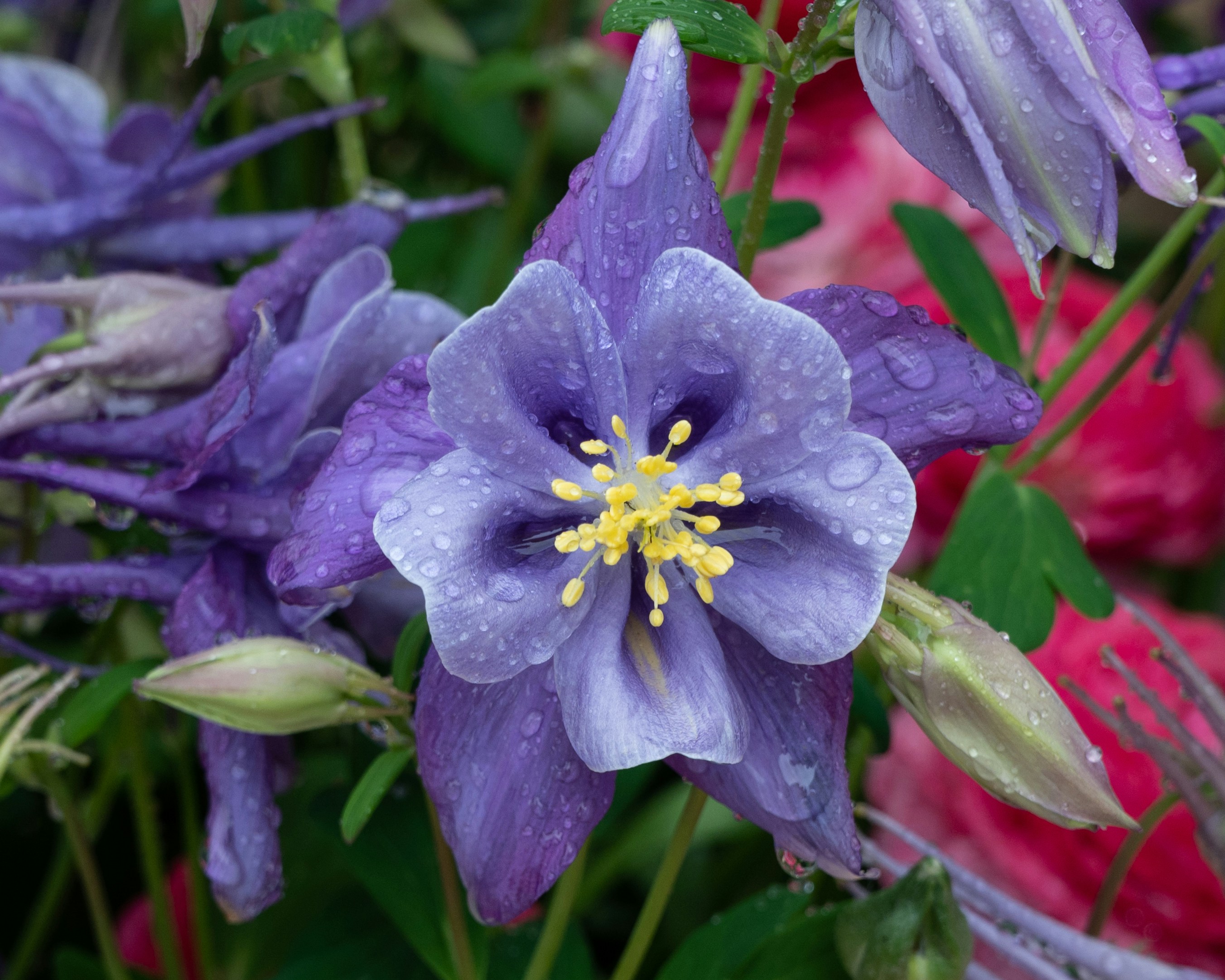 Photo by carrie_borden