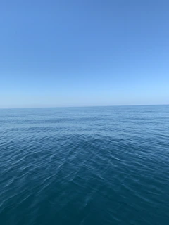 A panoramic view of a calm sea stretching to the horizon under a clear blue sky.