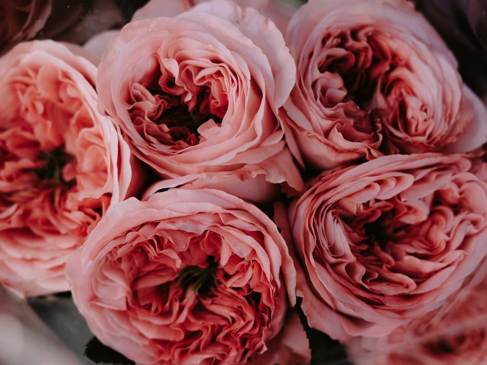 a bunch of pink flowers sitting on top of a table