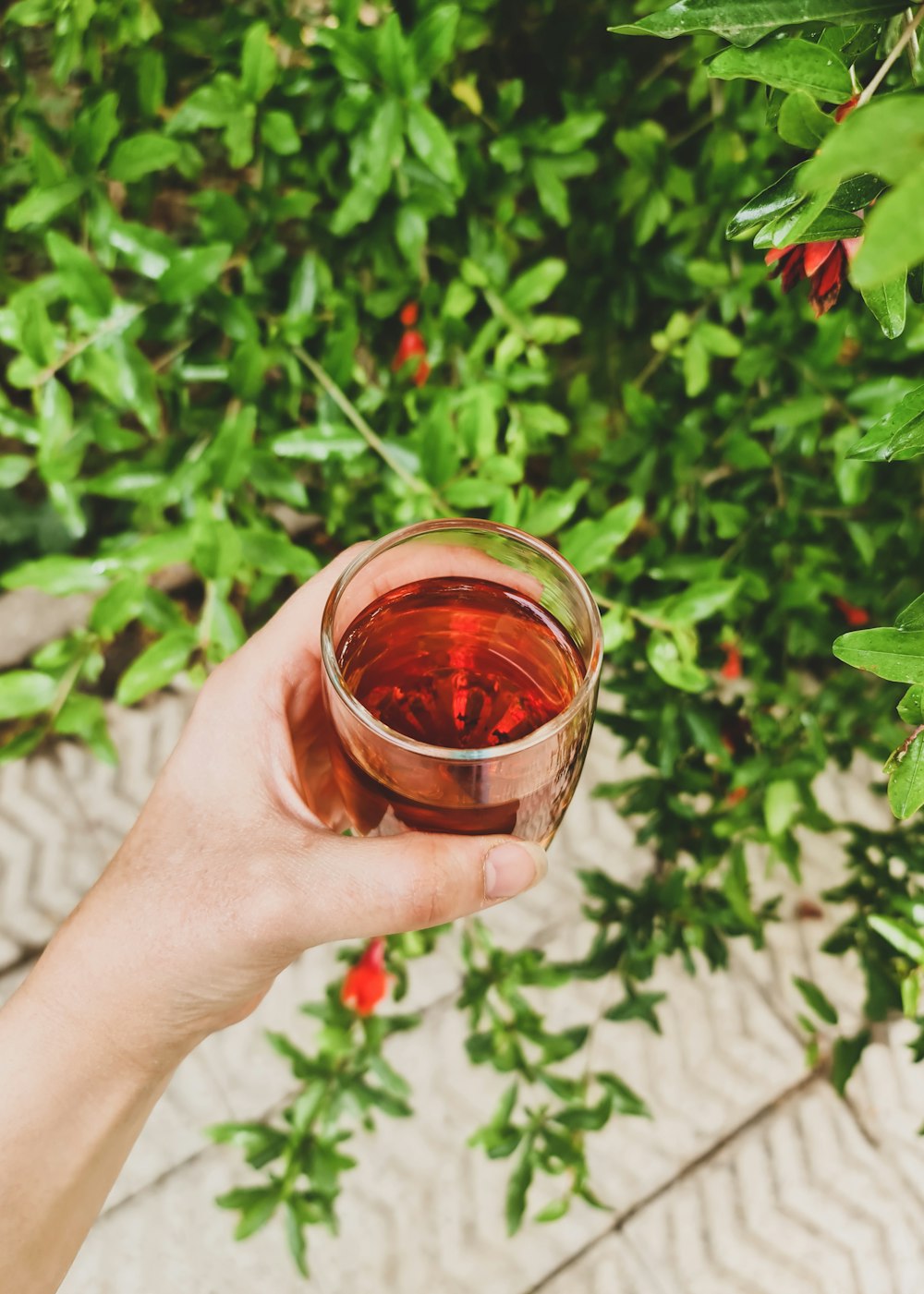 a person holding a glass of tea in front of a bush