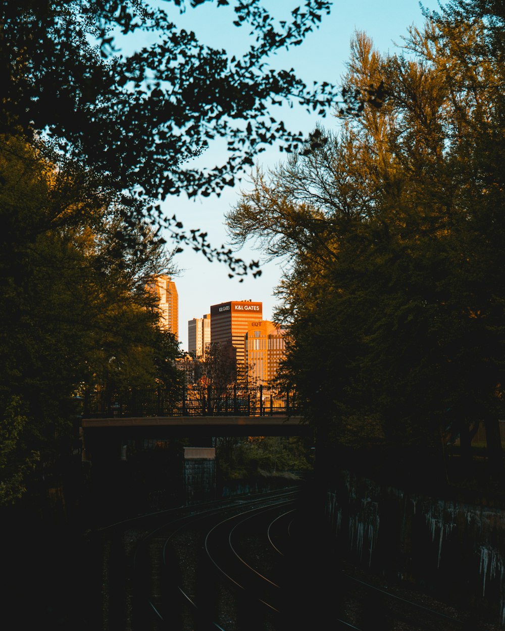 a view of a train track through the trees