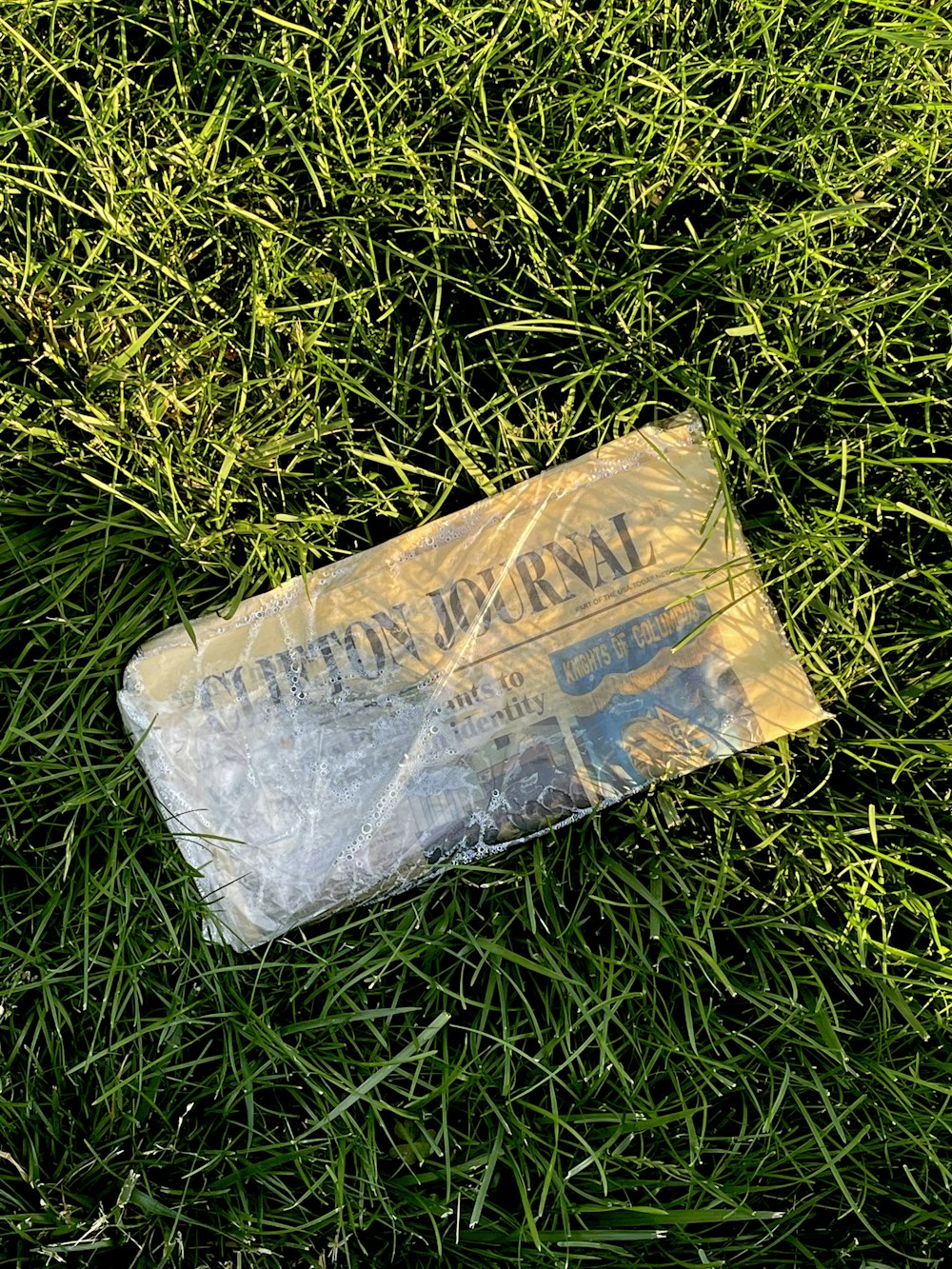 a plastic bag sitting on top of a lush green field