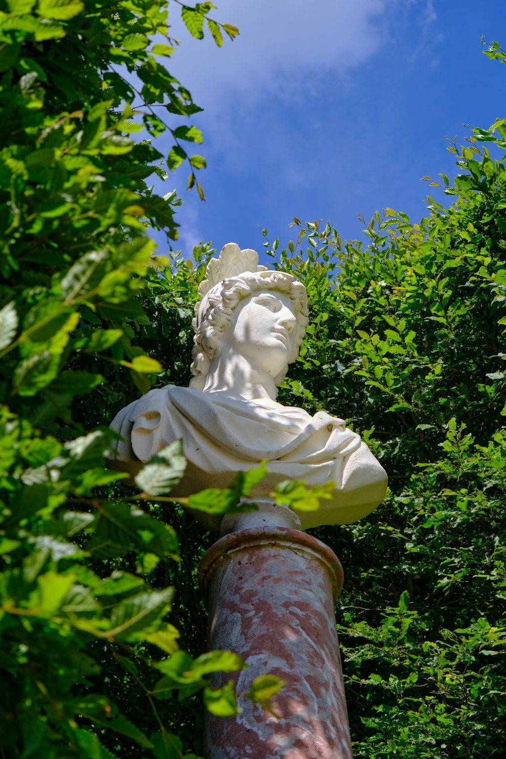 a statue of a man in the middle of a forest