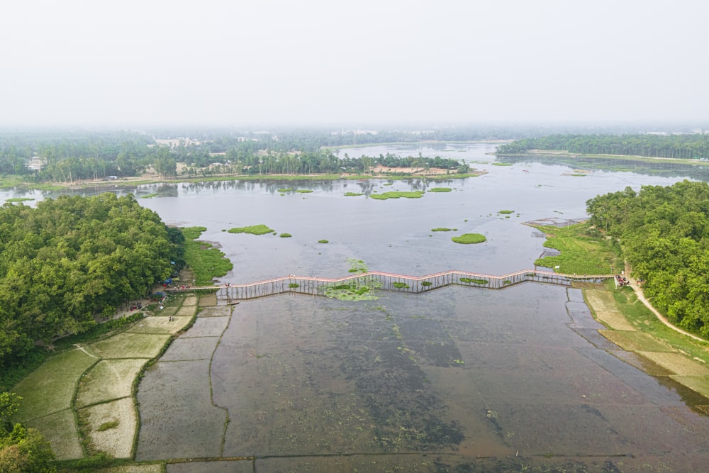 a large body of water surrounded by trees