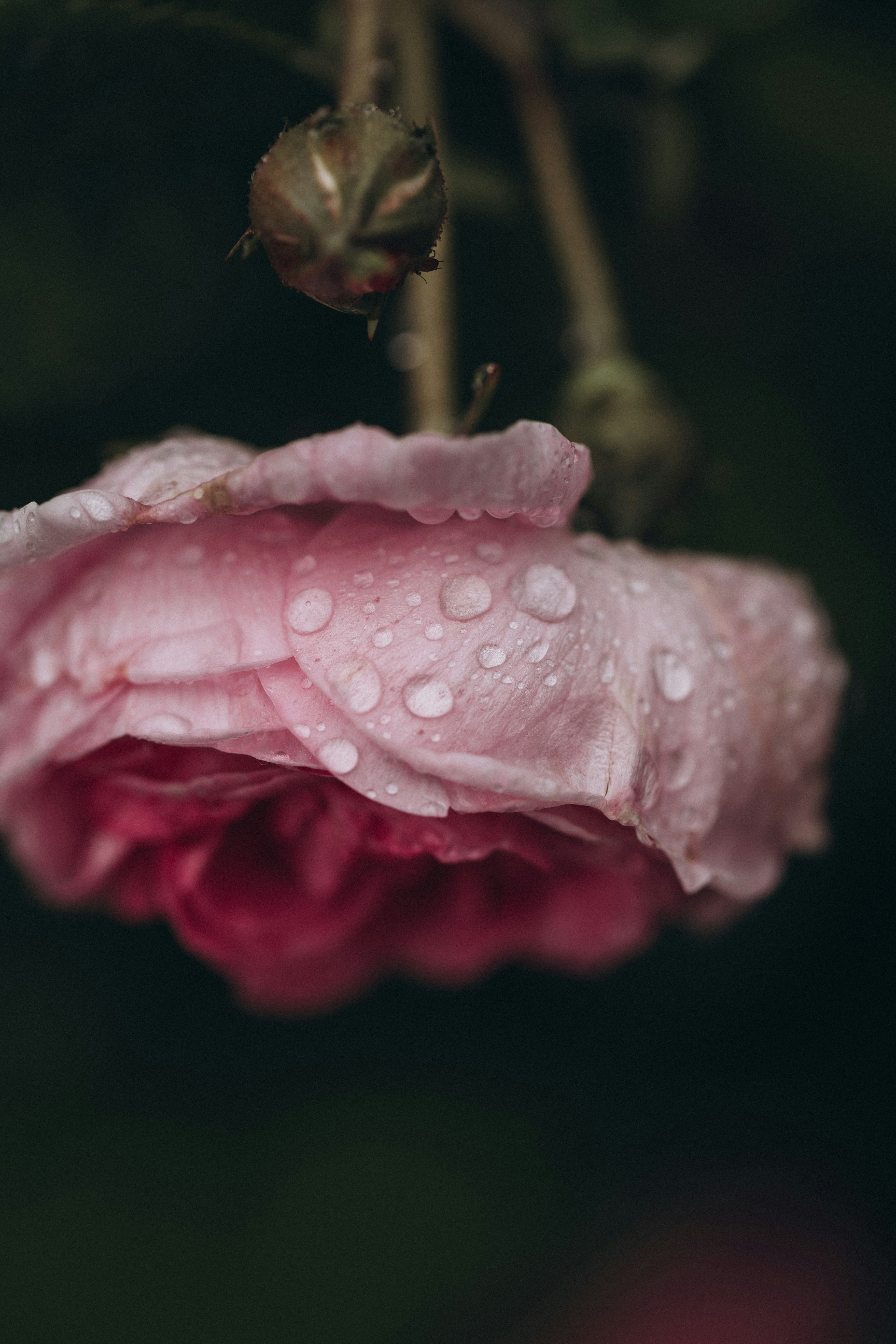 Photo by raspopovamarisha