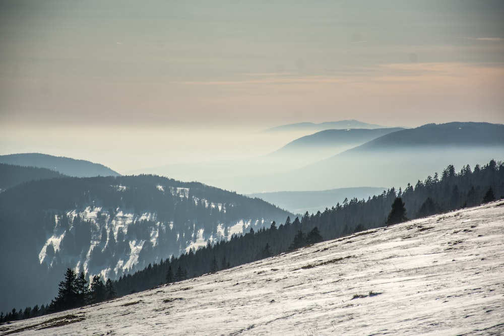 a view of a snowy mountain with trees on it