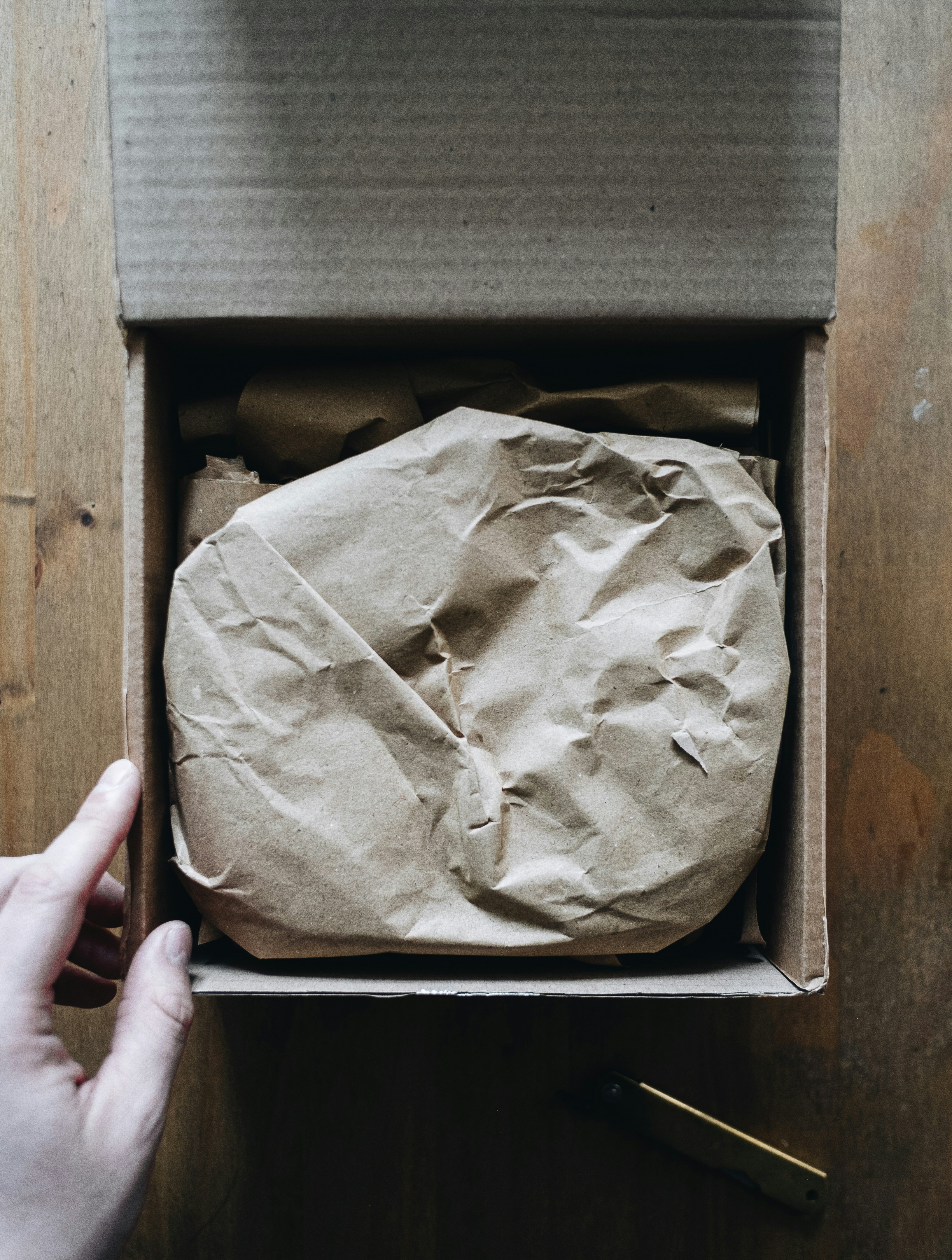 Photo by _adisonclark