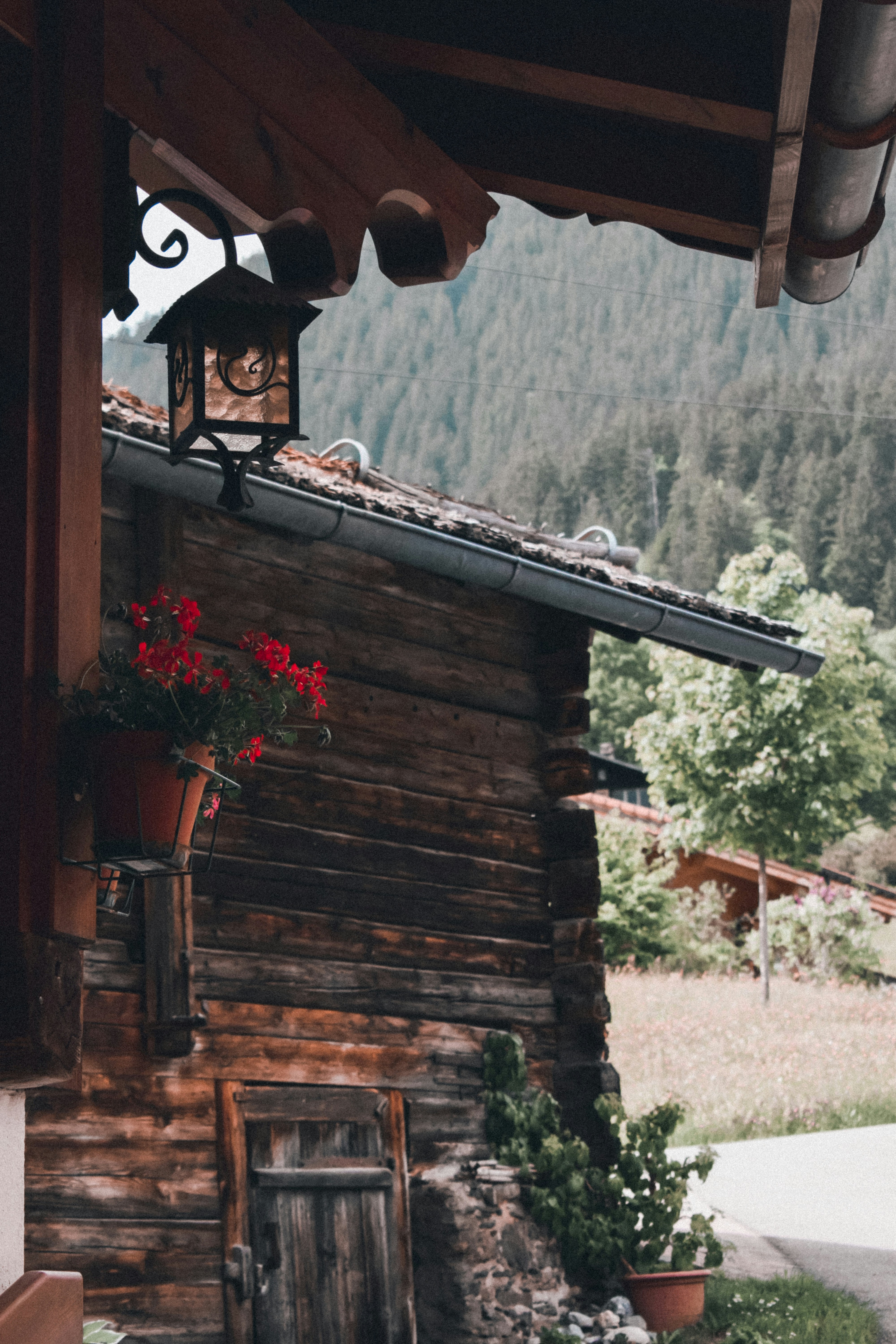 Photo by annaacurcan