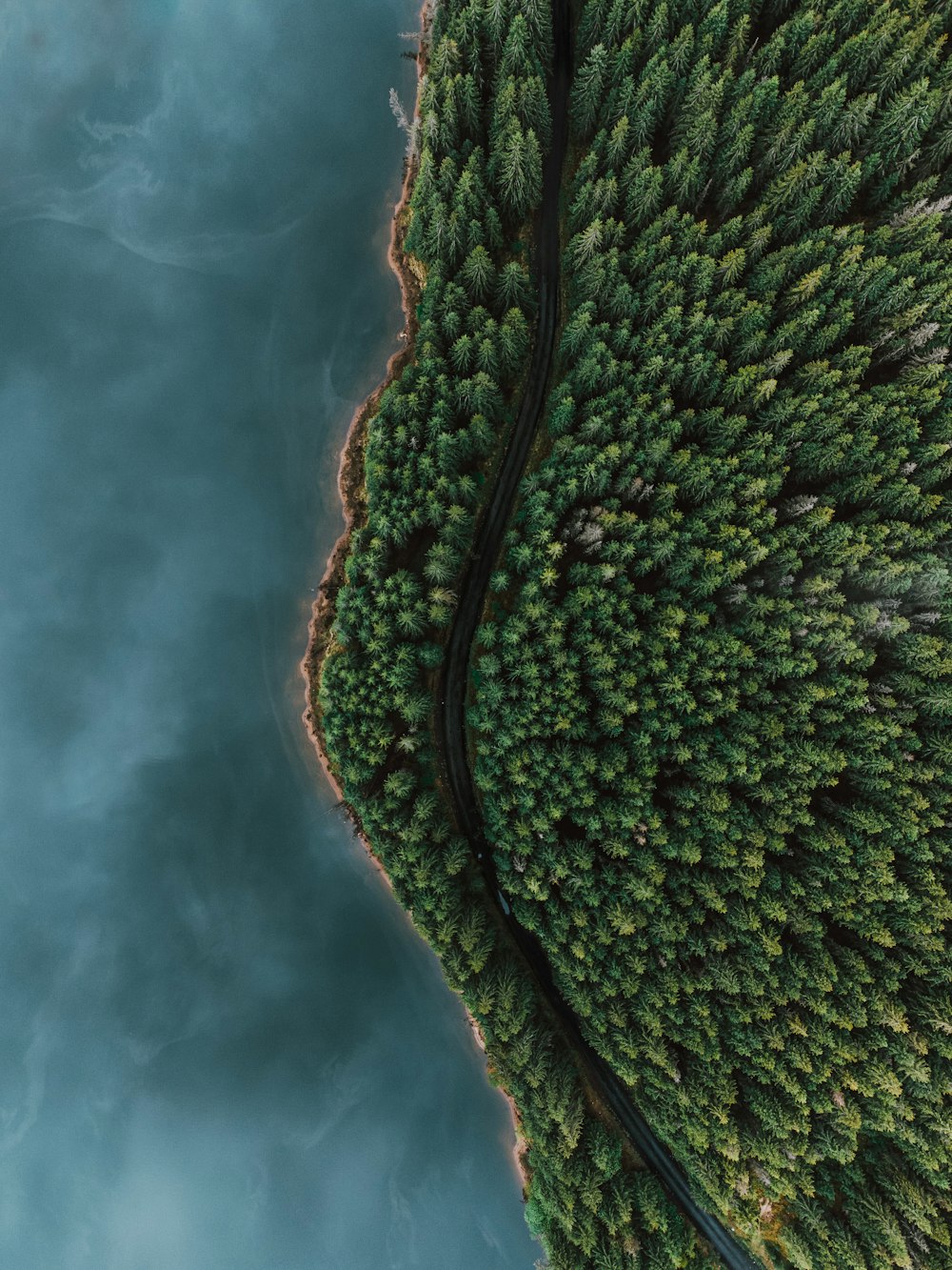 an aerial view of a road winding through a forest