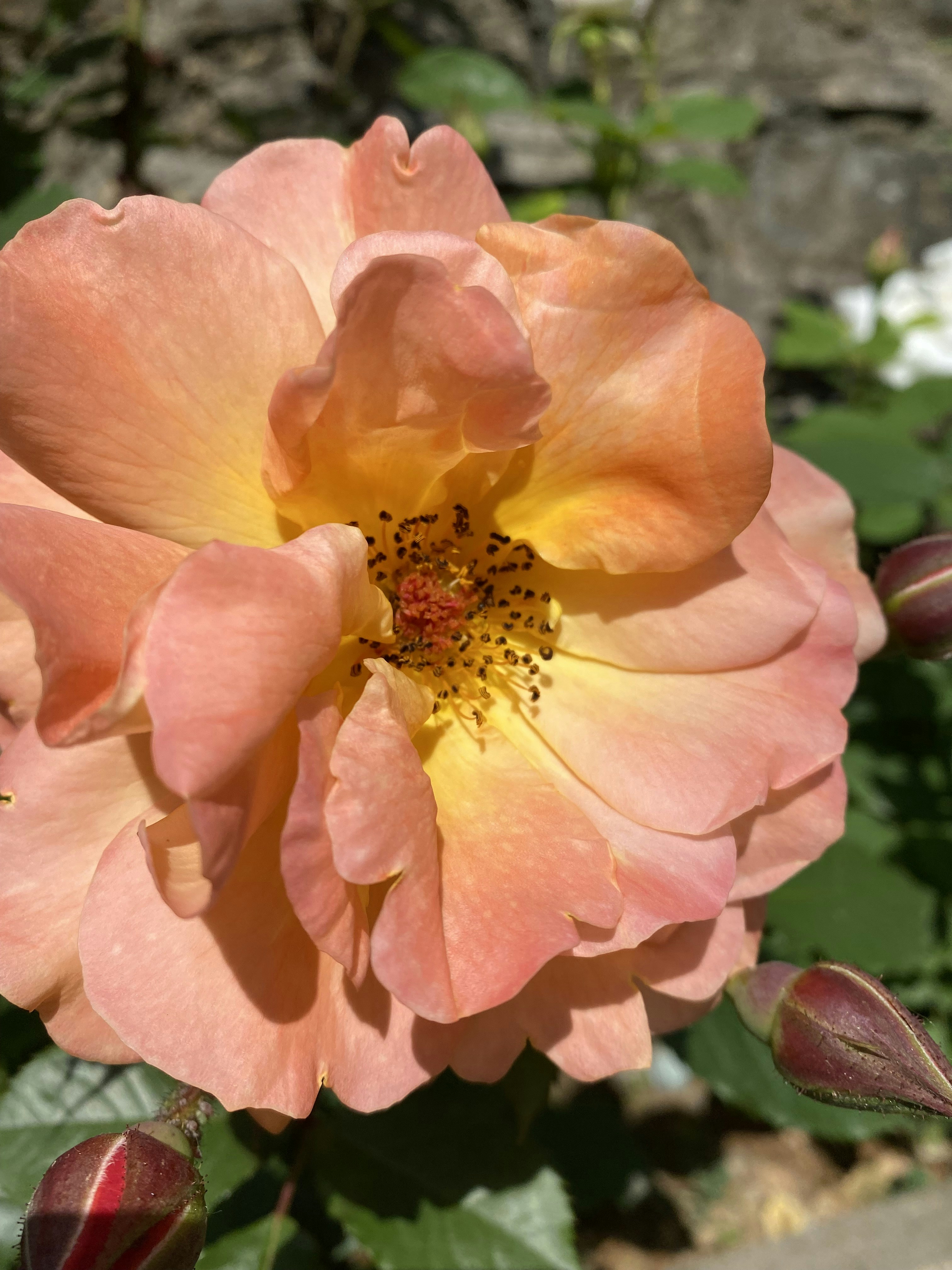 Photo by thallasophile