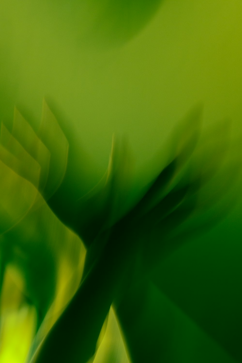 a blurry photo of a green and yellow background