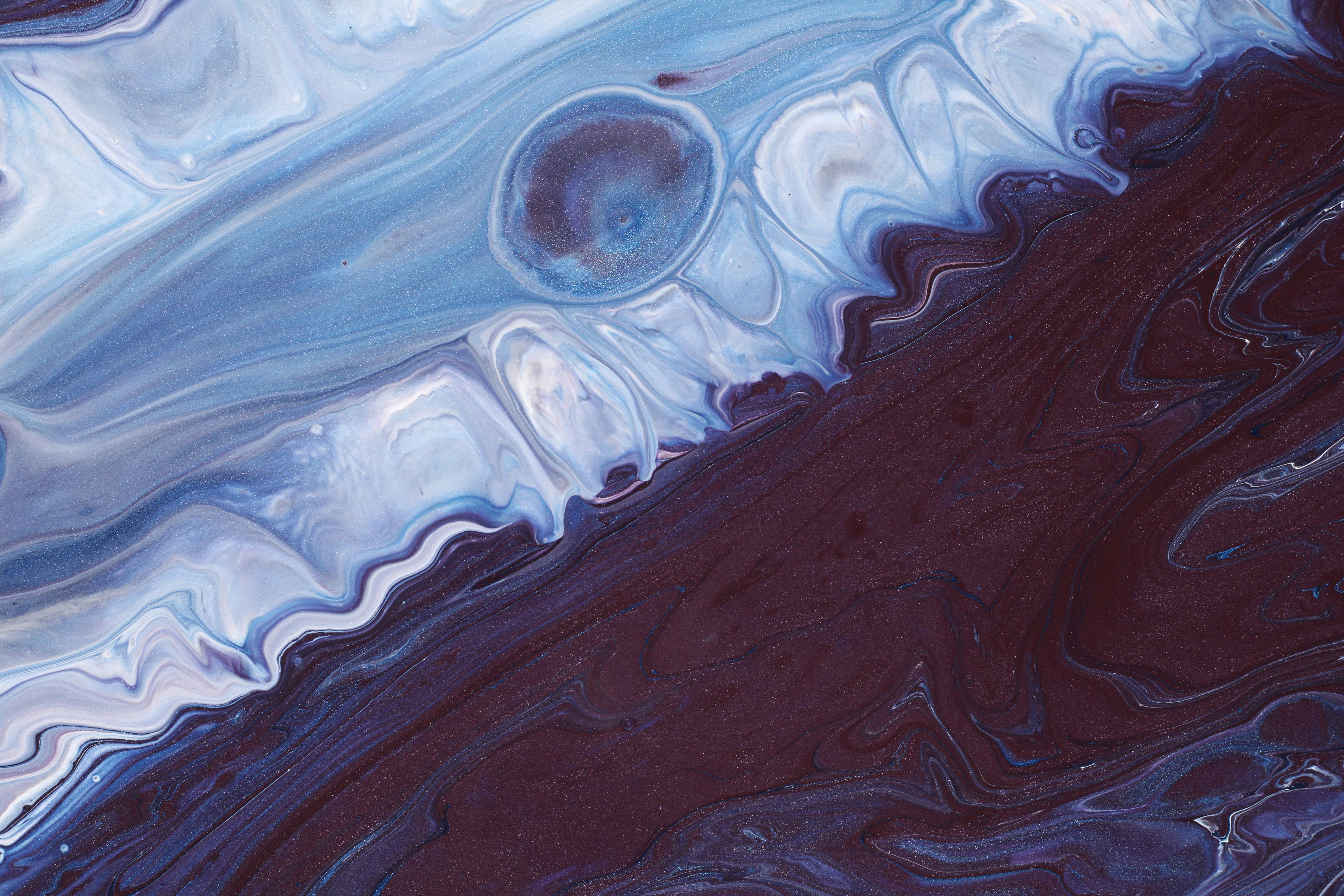 Photo by susan_wilkinson