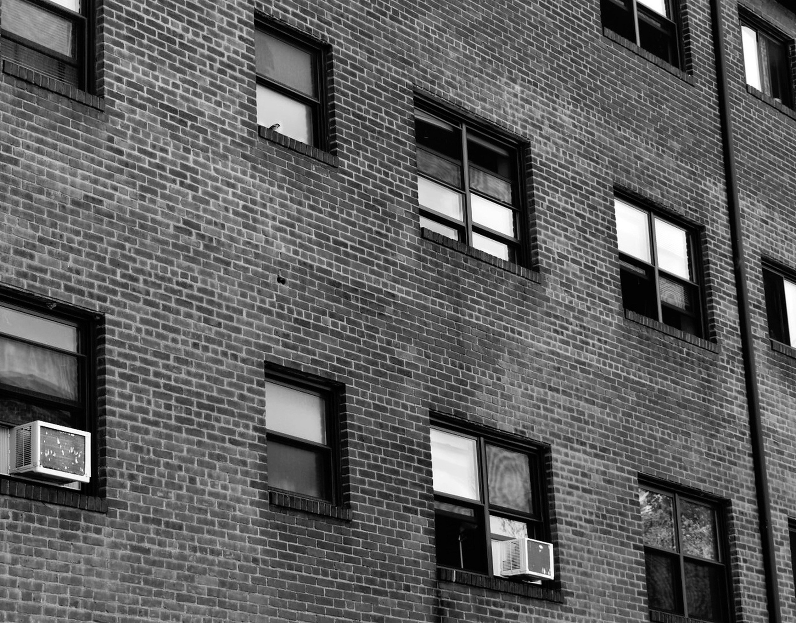 Photo by aigjawdarahb