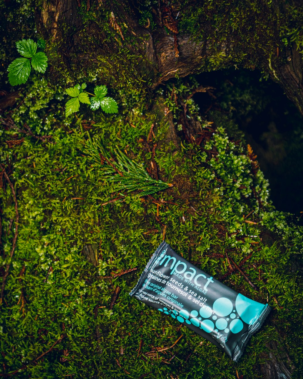 a bar of soap sitting on top of a lush green forest
