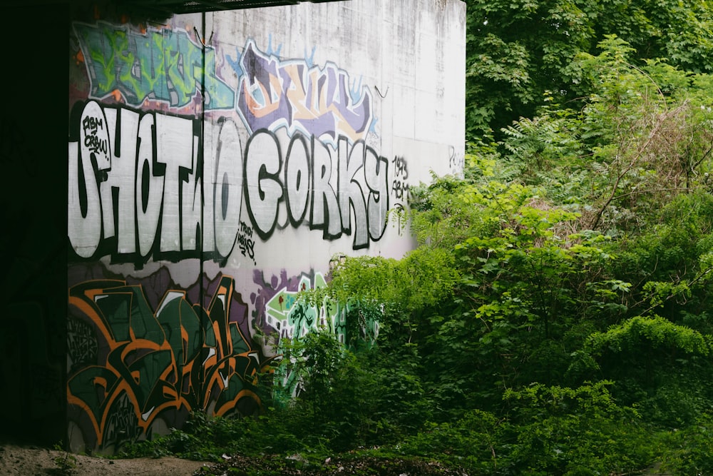 a wall covered in graffiti next to a forest