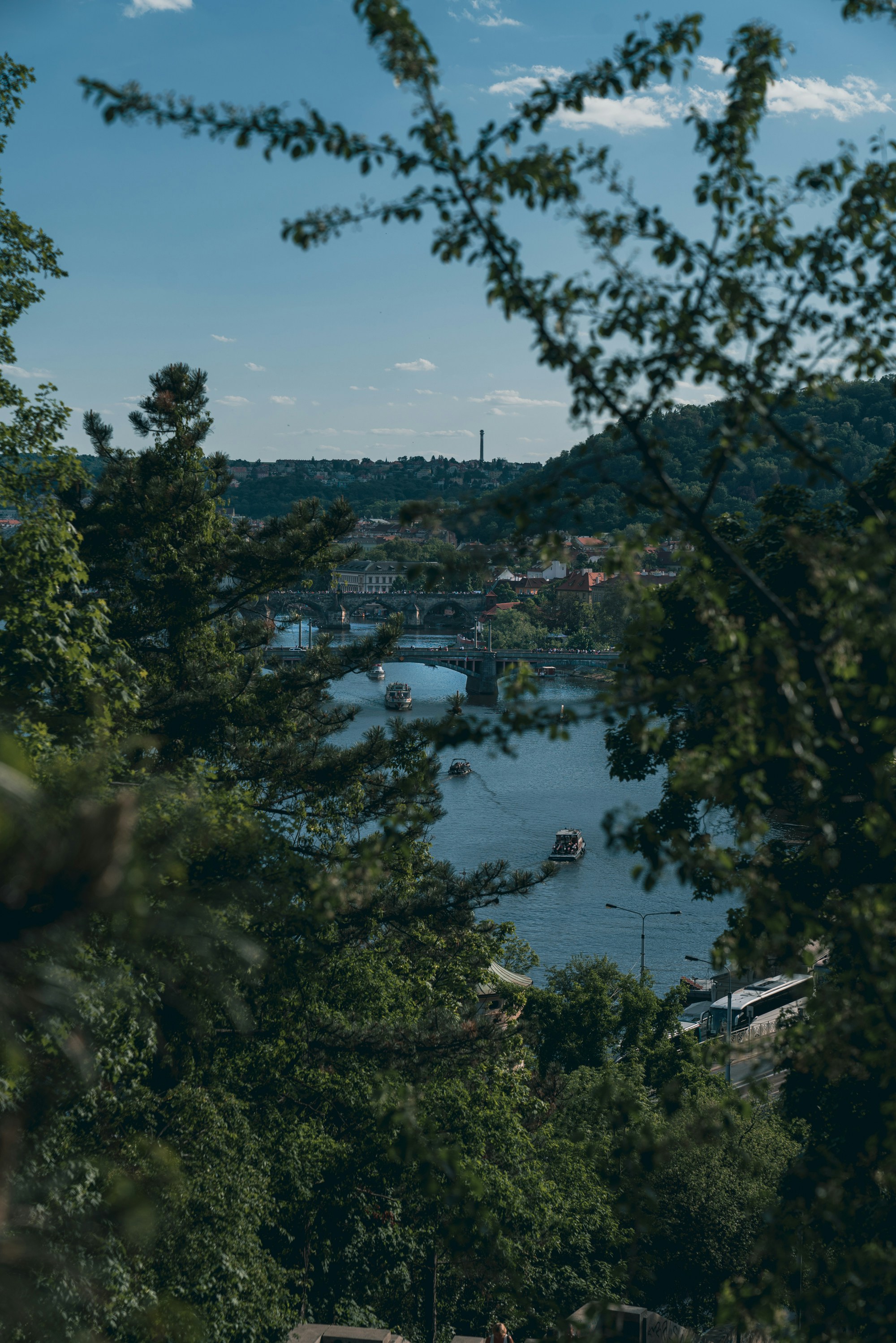 Photo by mikhail_mamaev