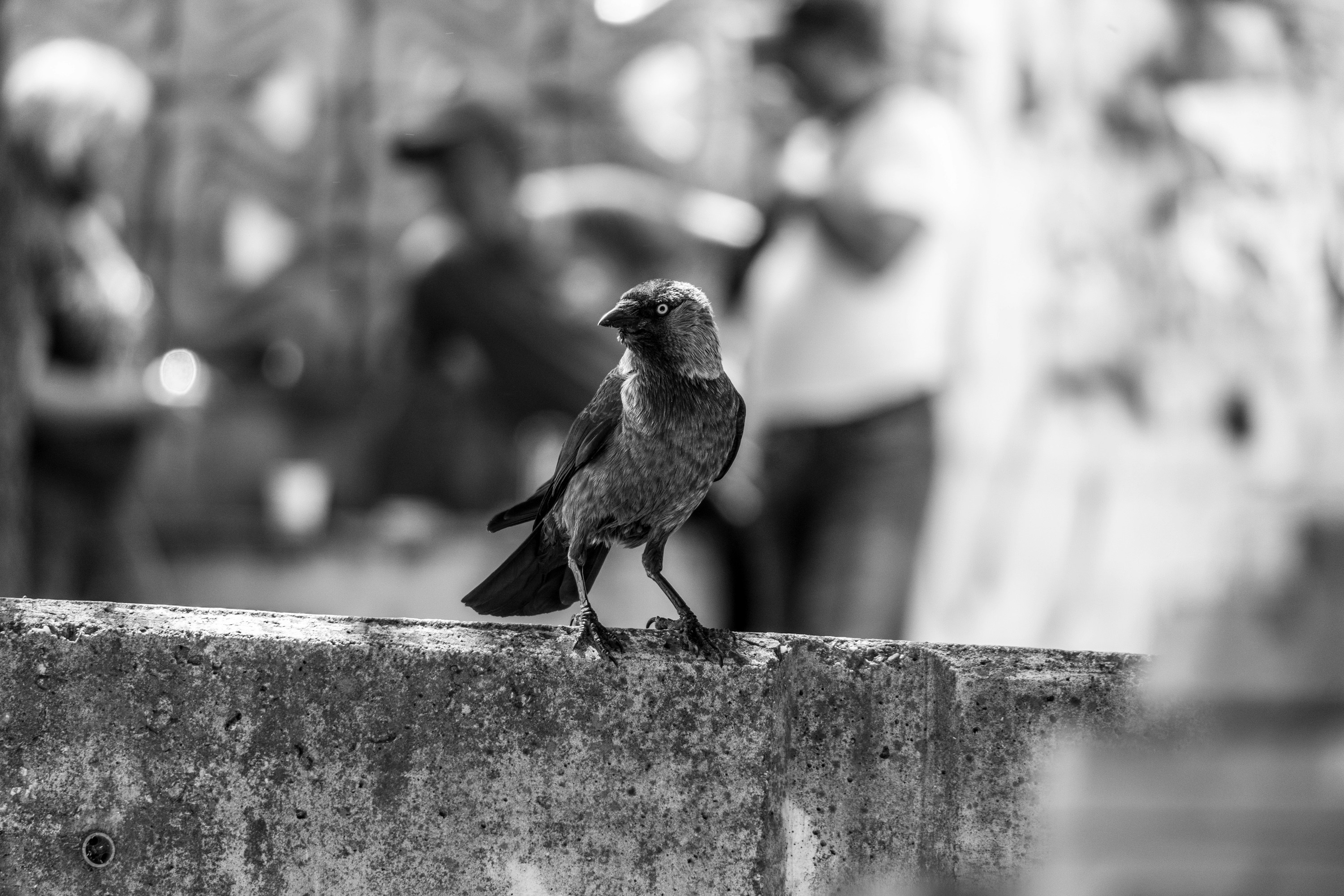 Photo by nikolasivkov