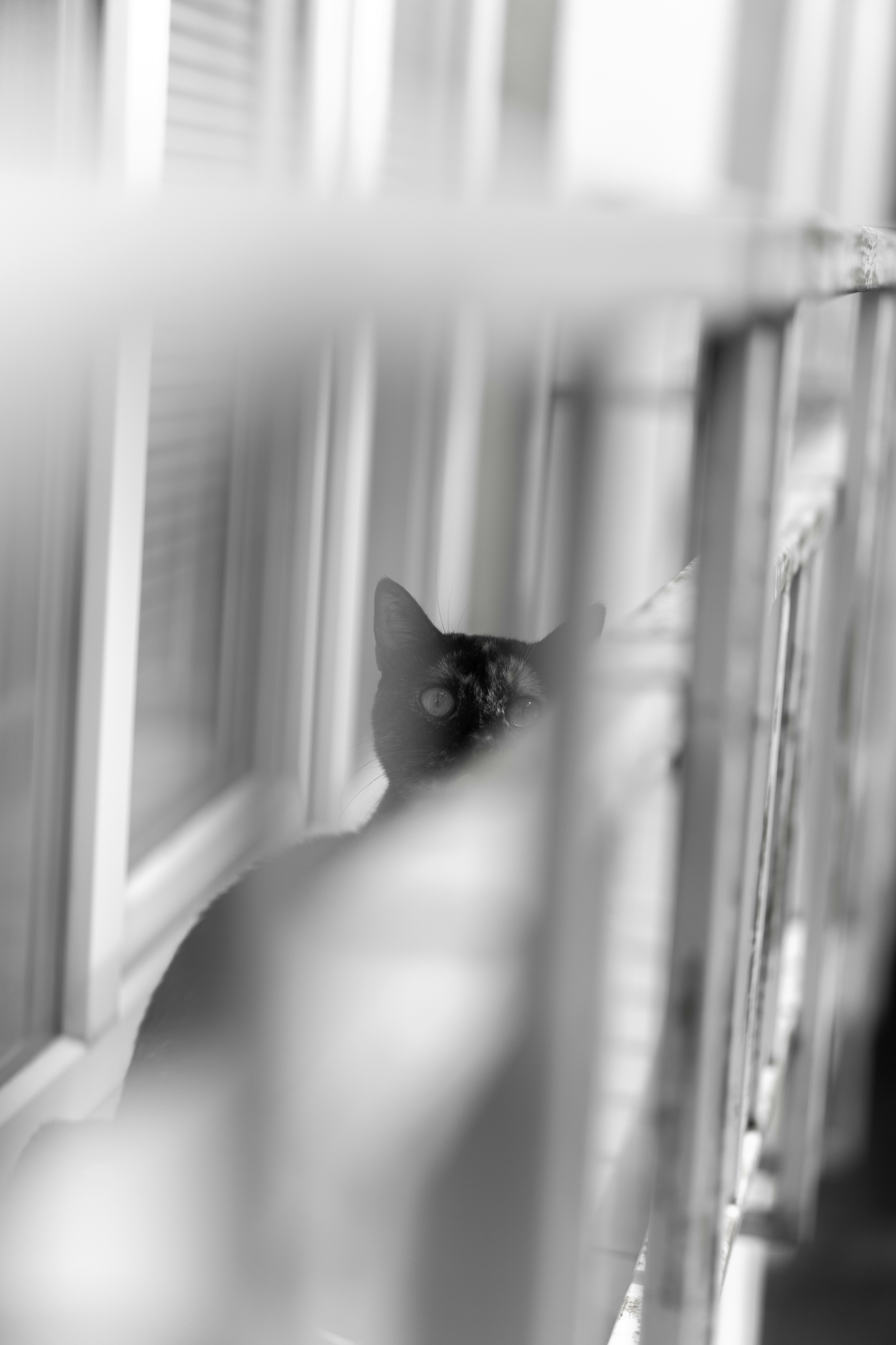 Photo by nikolasivkov