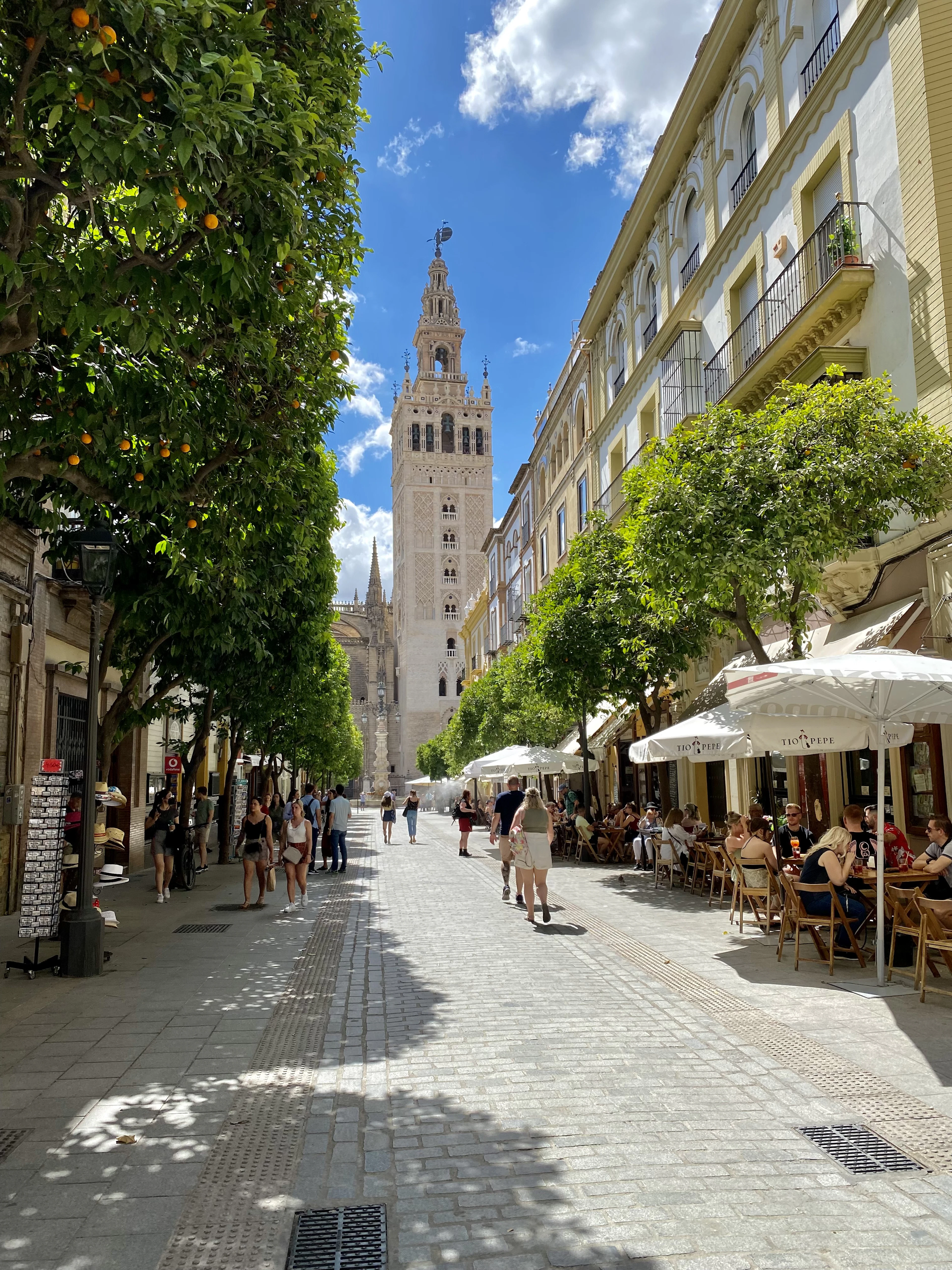 A sunlit pedestrian street in Seville lined with fruiting orange trees and cafe terraces under white umbrellas, with the Giralda rising at the far end.