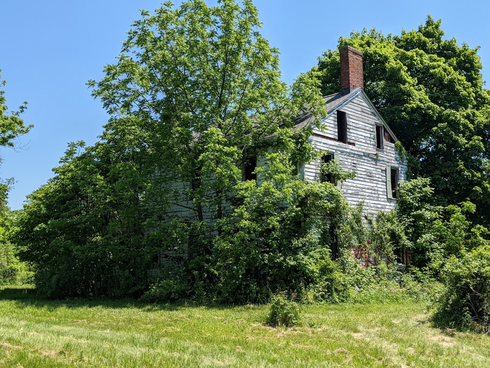 an old run down house surrounded by trees