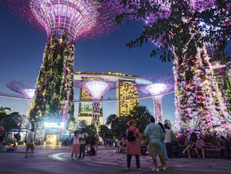 Gardens by the Bay