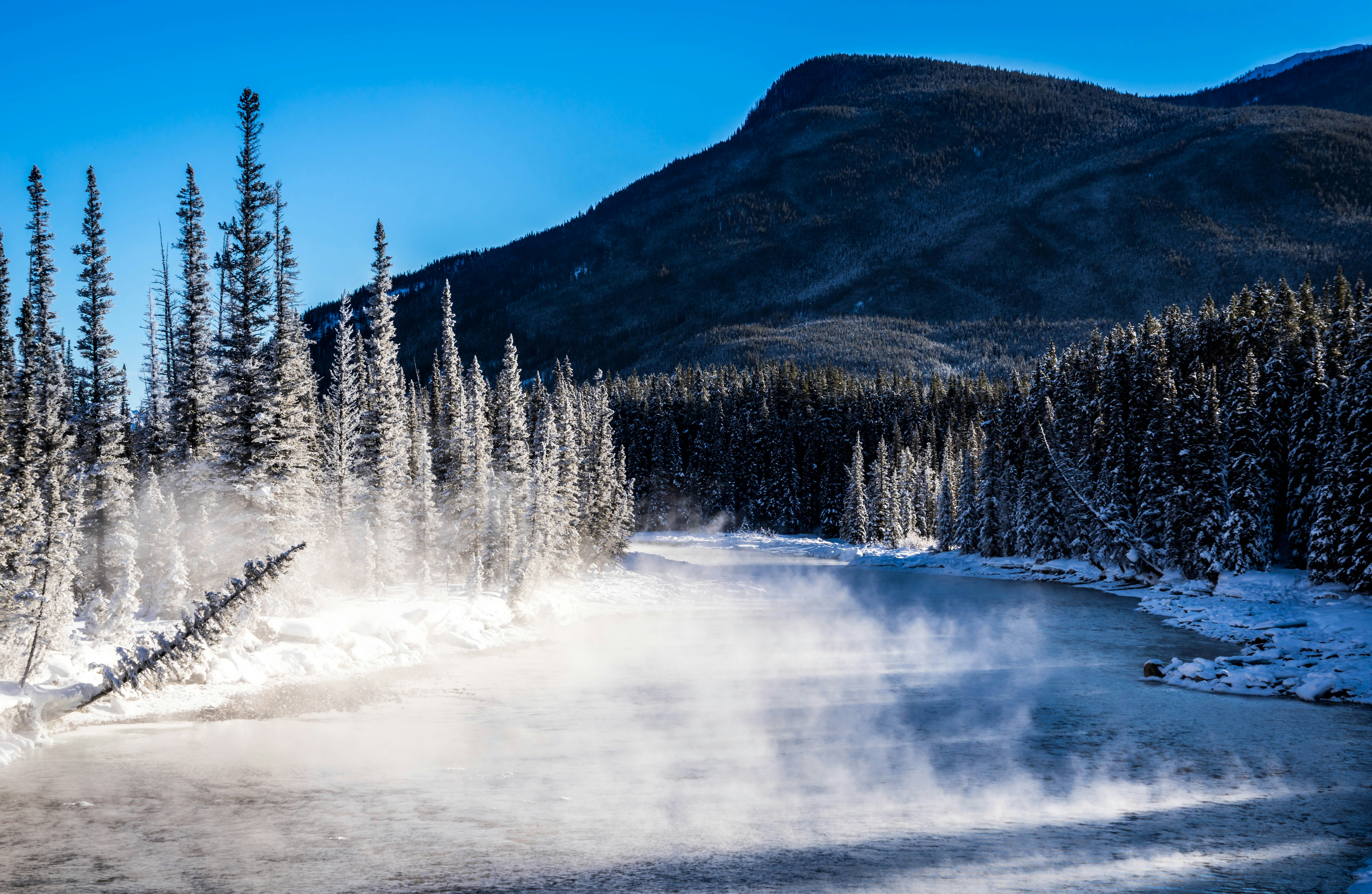 Photo by baronalloway