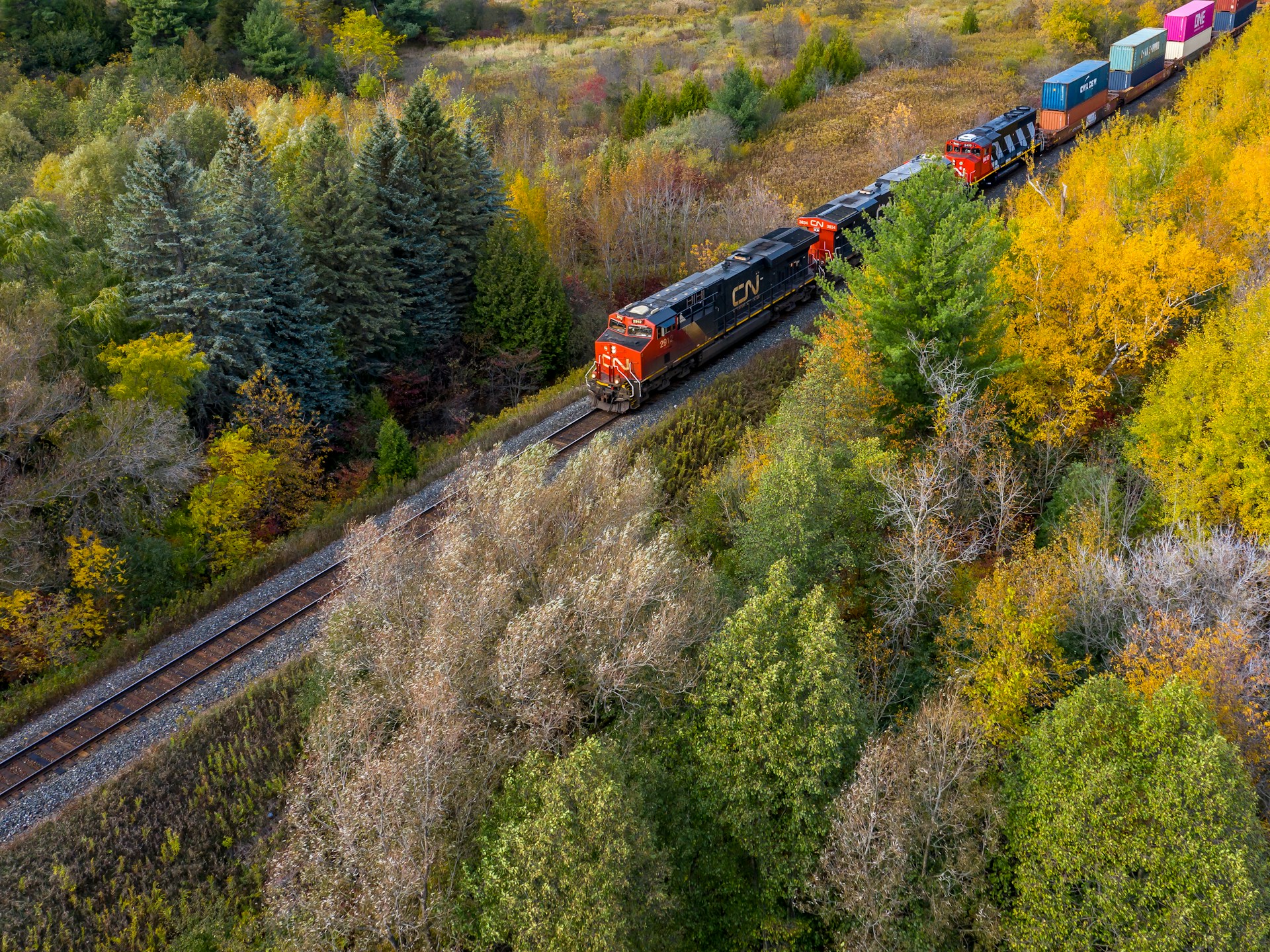a train traveling through a lush green forest