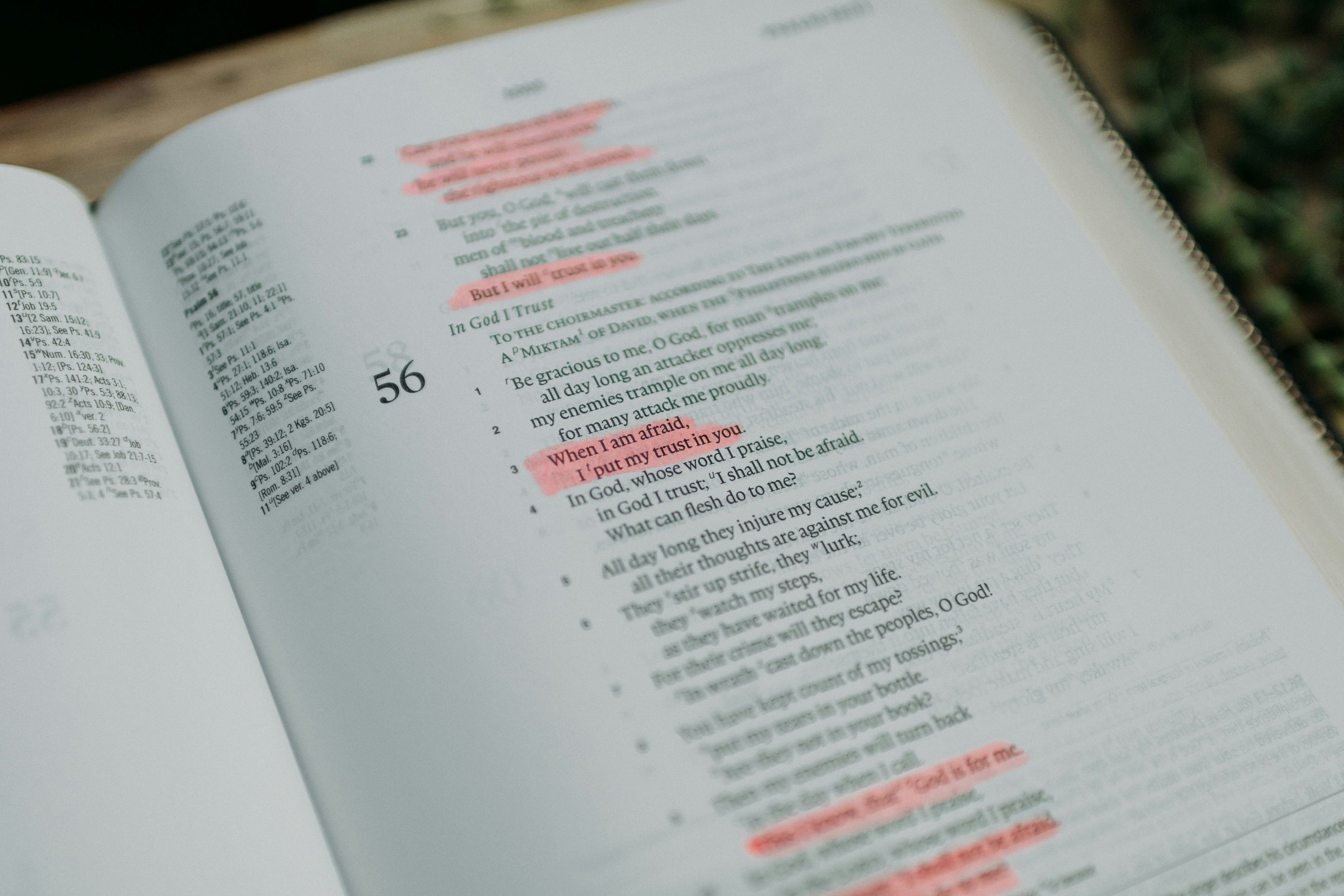 (Book) Highlights: Alex's Adventures in Numberland by Alex Bellos