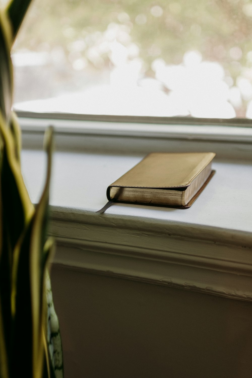 a book sitting on a window sill next to a plant