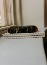 Close-up of a well-worn Bible and notes beside a microphone in soft, earthy lighting.