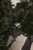 a man walking down a sidewalk next to trees