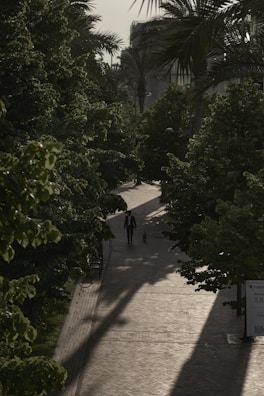 a man walking down a sidewalk next to trees