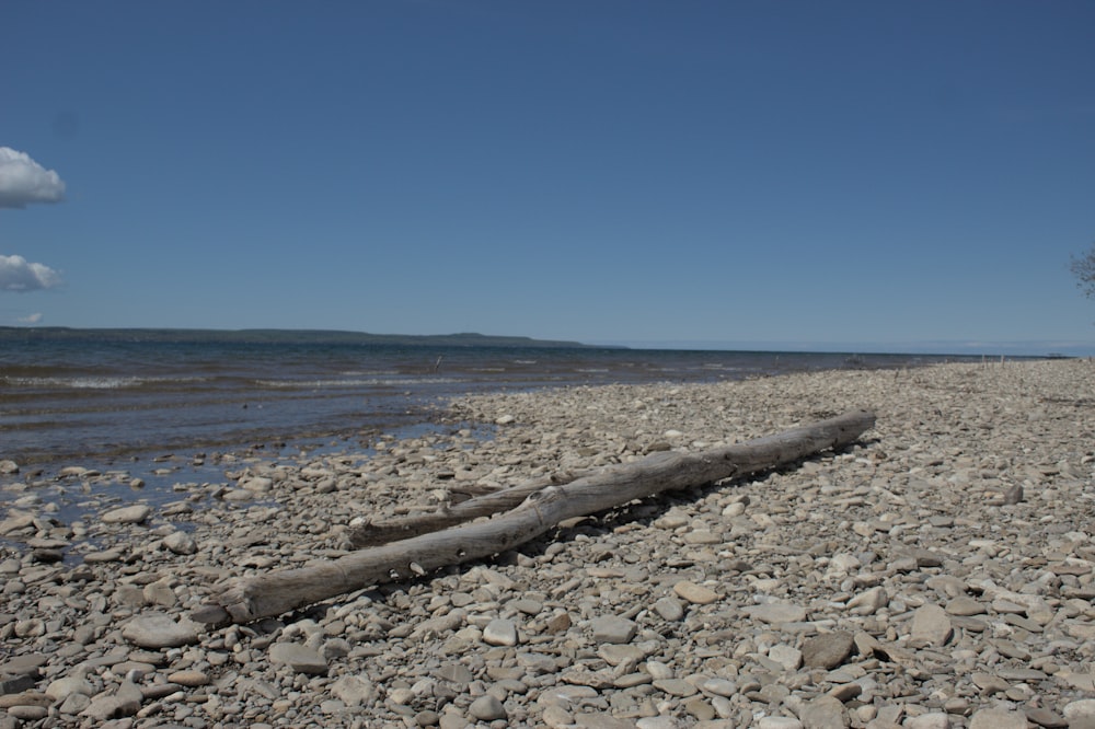 a log laying on top of a rocky beach