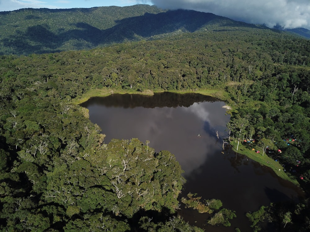 an aerial view of a lake surrounded by trees